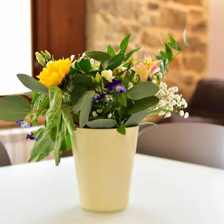 Apartment Petra Pietrapertosa